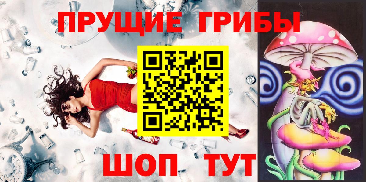 Псилоцибиновые грибы Psilocybe Новочеркасск
